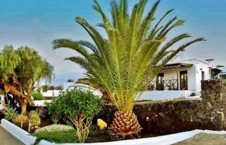unterkunft_cocolingua_sprachschule_lanzarote_las_brenas_bungalow002