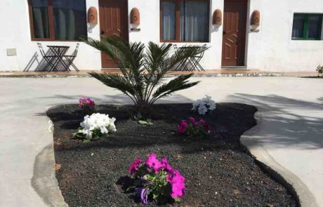 unterkunft_cocolingua_sprachschule_lanzarote_yaiza_apartment002