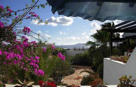 alojamiento unterkunft accommodation hebergement cocolingua sprachschule lanzarote puerto del carmen tropical01