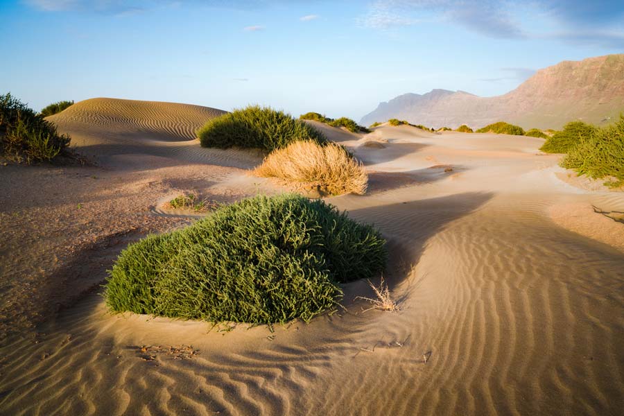 lanzarote-canaryisland-nature