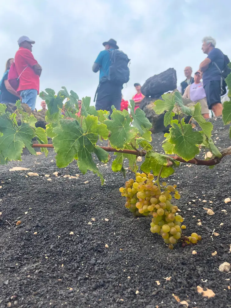 Guided volcanic hike with Senderismo Lanzarote