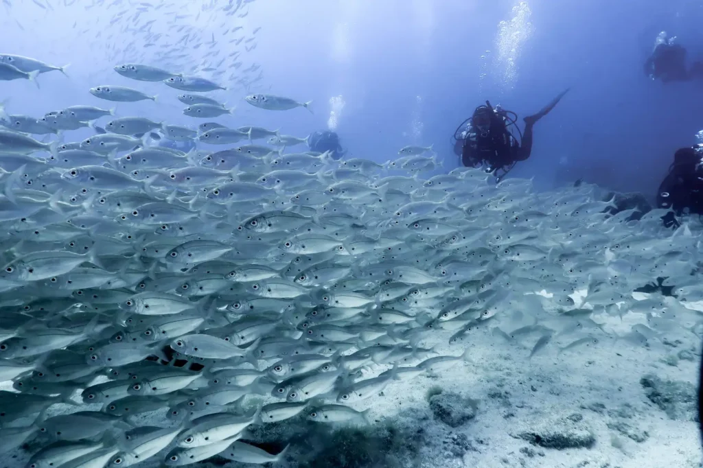 Diving with Viva Blue Diving in Lanzarote