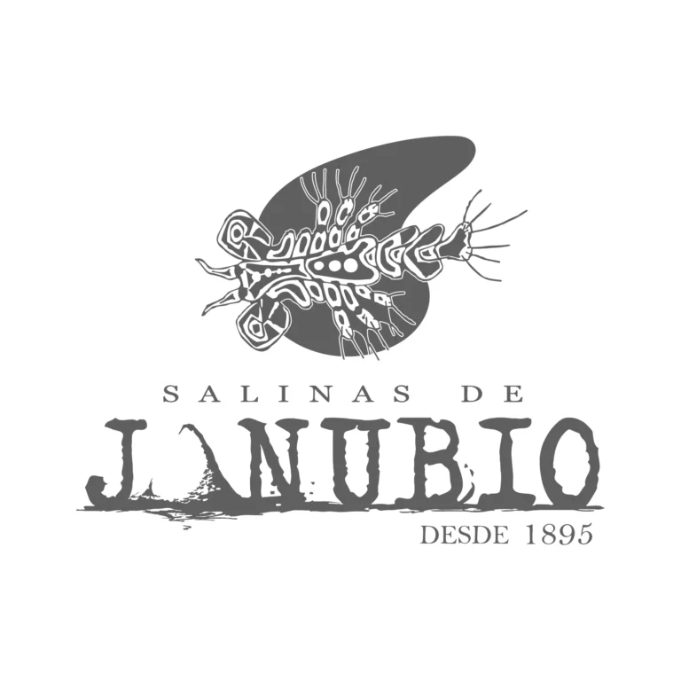 Salinas de Janubio logo