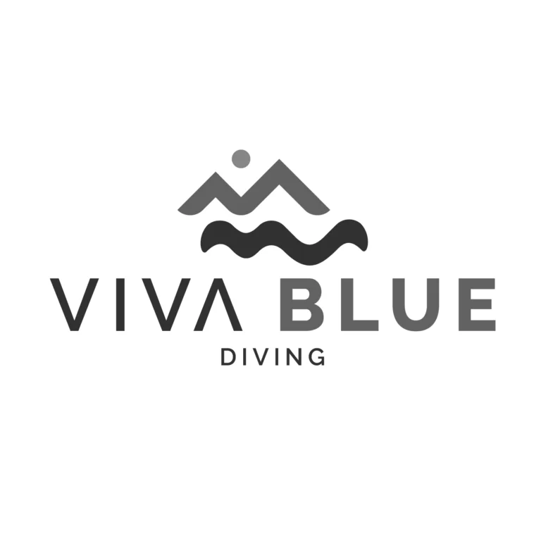 Viva Blue Diving logo